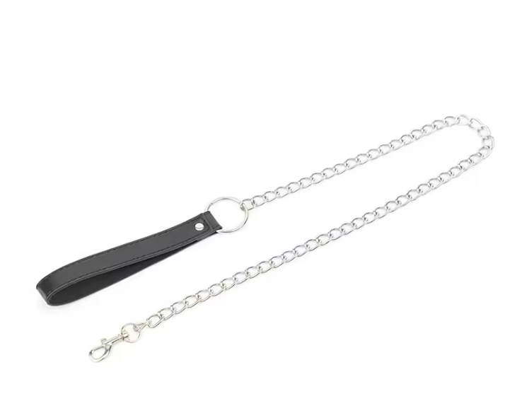 DOM leash fun